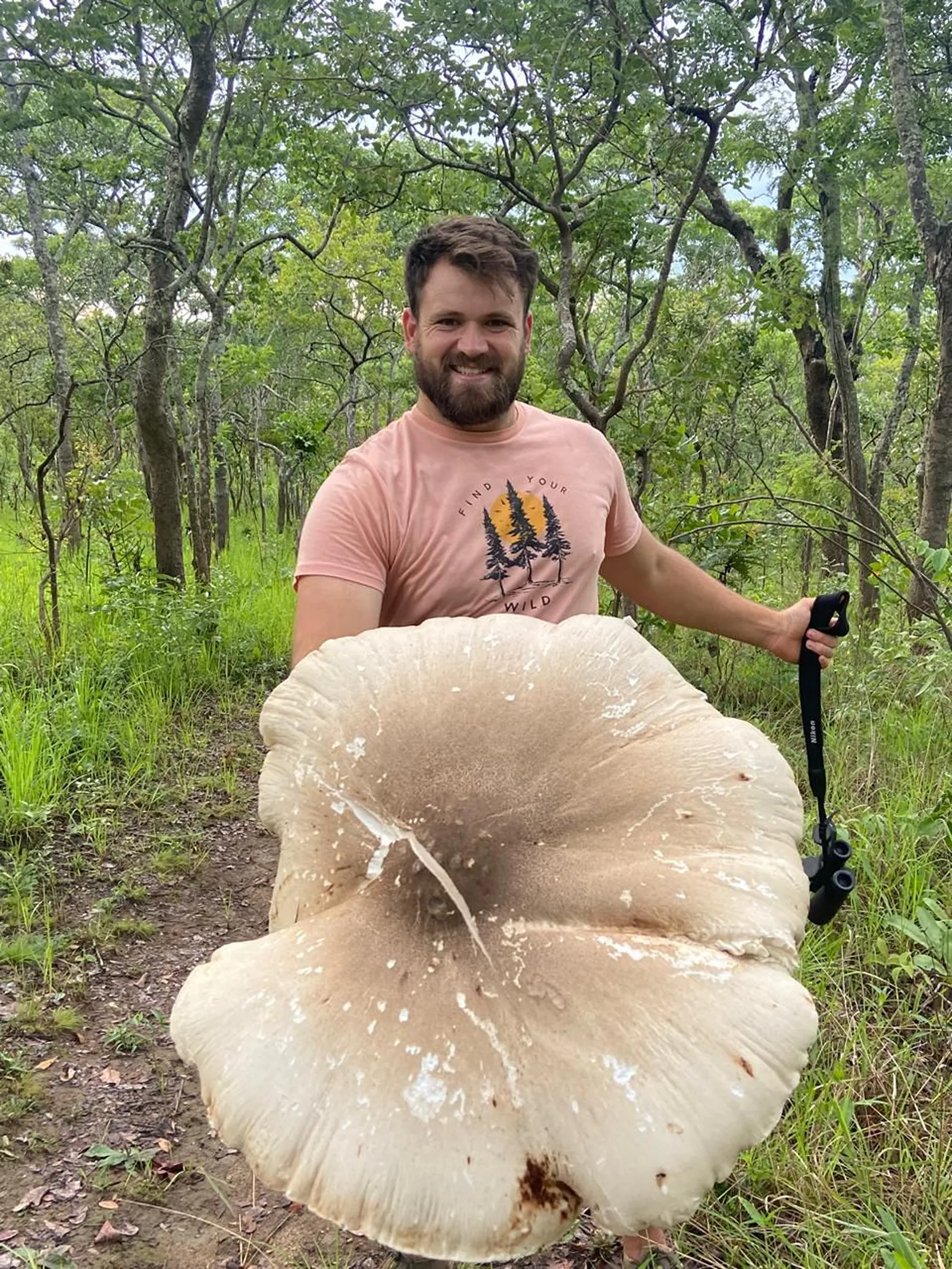 Mushrooming at Mutinondo